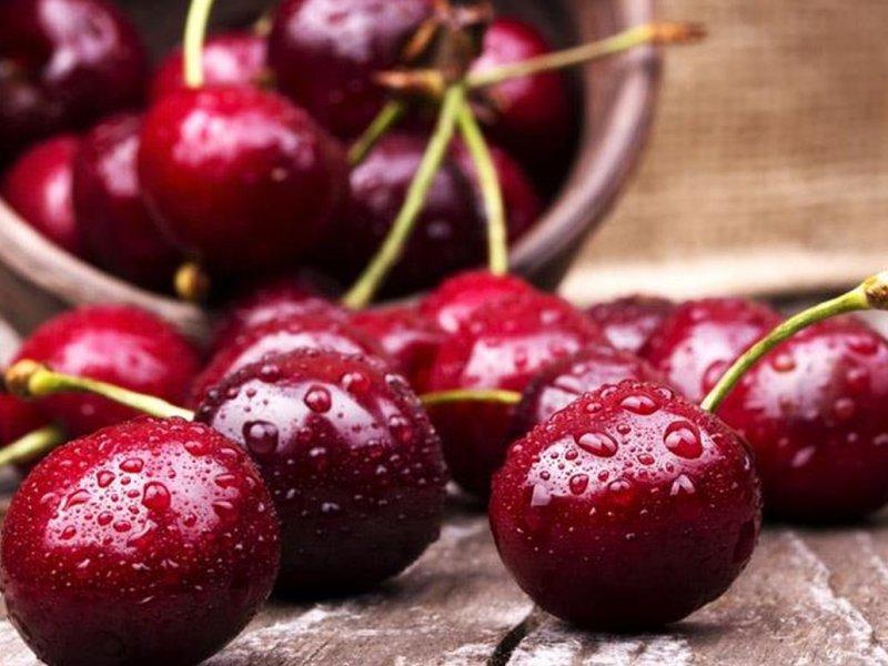 Вишня купить саженцы из питомника в Сибае