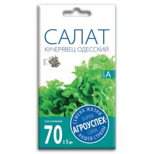 Семена Салата " Кучерявец Одесский"
