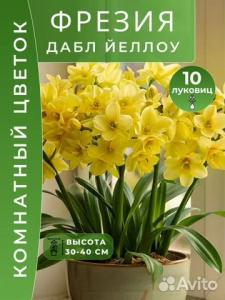 Фрезия луковицы Дабл Йеллоу 10 шт.