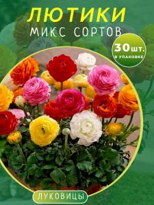 Лютики микс сортов 30 штук